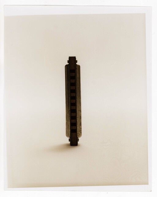 Photo : Erwann Petersen