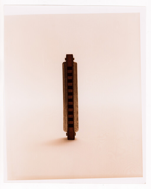 Photo : Erwann Petersen