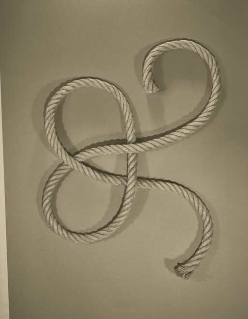 Photo : Camille Pouyat