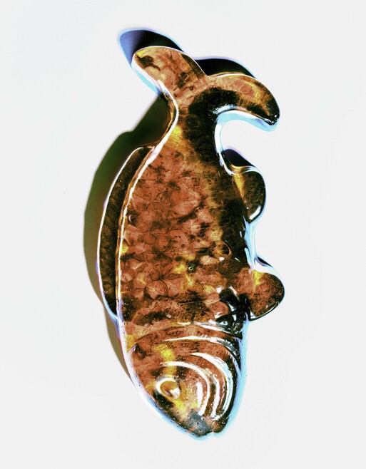 Photo : Camille Pouyat