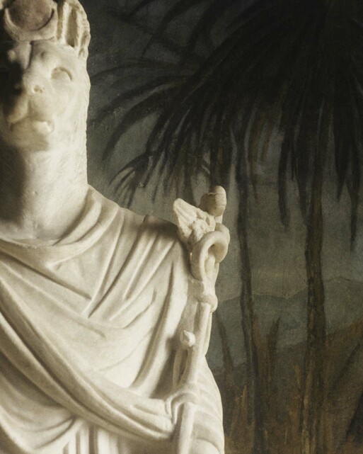 Photo : Erwann Petersen