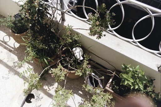 Photo : Erwann Petersen