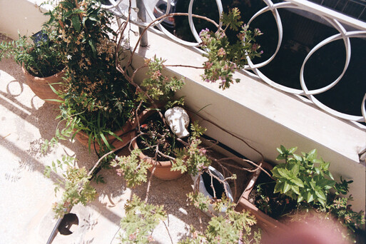 Photo : Erwann Petersen