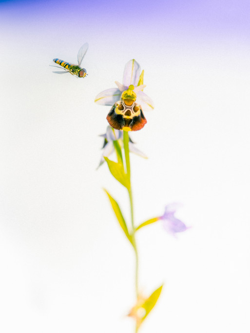 Photo : Etienne Francey