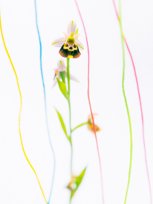 Photo : Etienne Francey