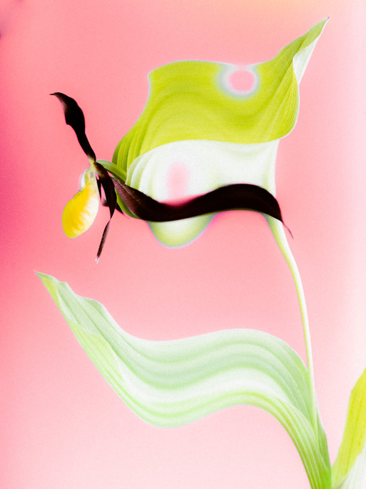 Photo : Etienne Francey