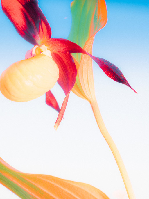 Photo : Etienne Francey