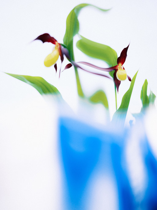 Photo : Etienne Francey