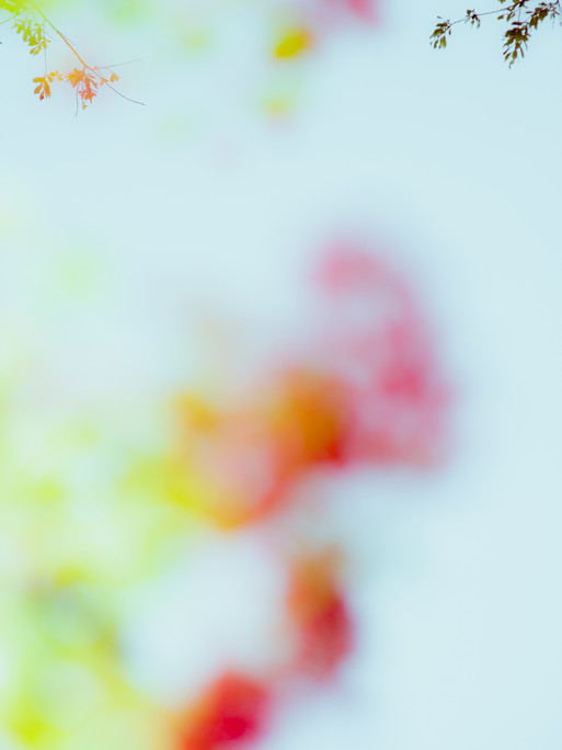 Photo : Etienne Francey