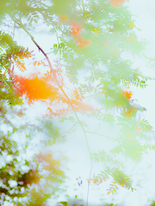 Photo : Etienne Francey