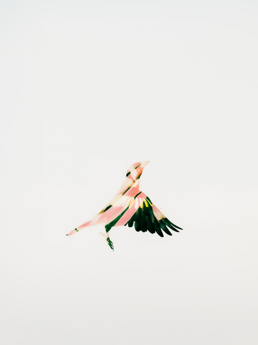 Photo : Etienne Francey