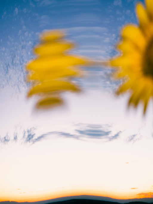 Photo : Etienne Francey