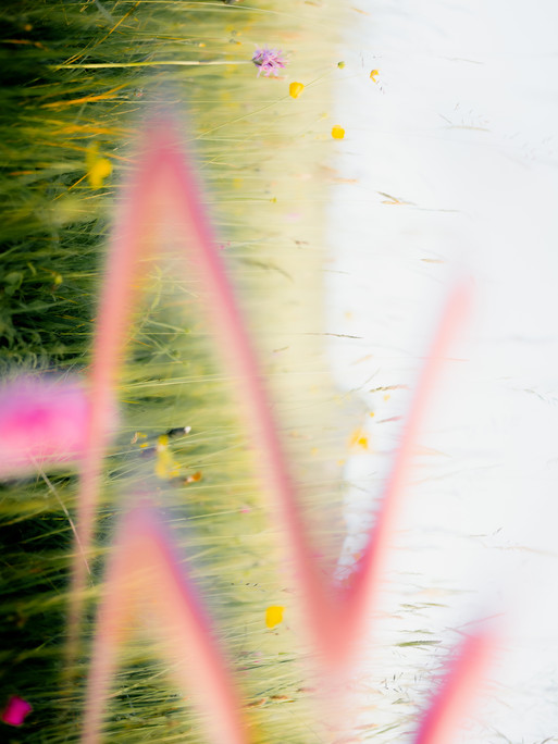 Photo : Etienne Francey