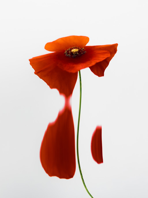 Photo : Etienne Francey