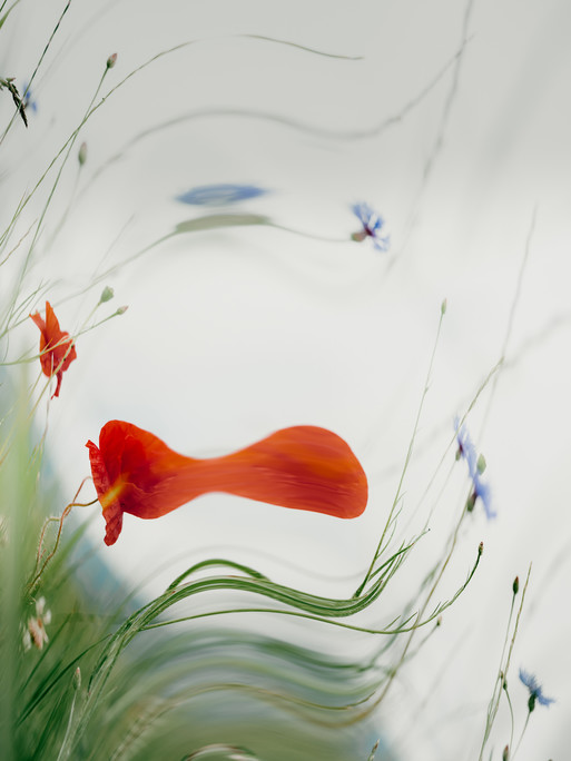 Photo : Etienne Francey