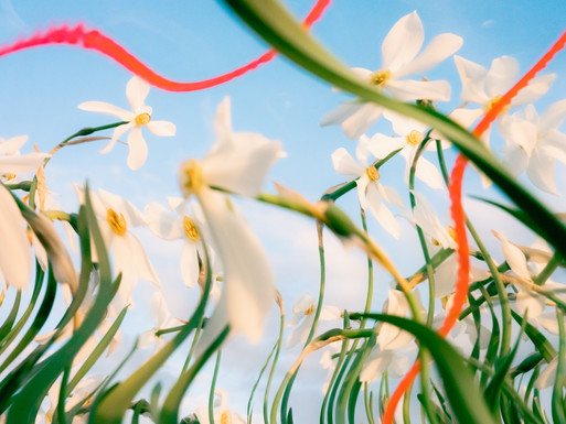 Photo : Etienne Francey