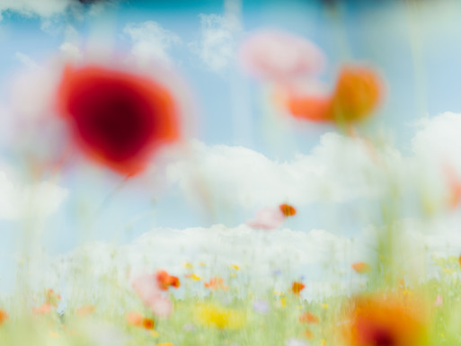 Photo : Etienne Francey