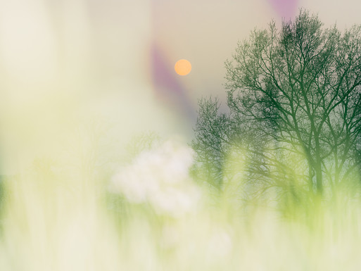 Photo : Etienne Francey