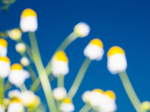 Photo : Etienne Francey