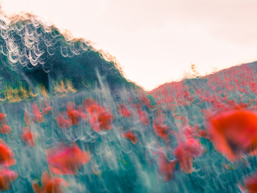 Photo : Etienne Francey