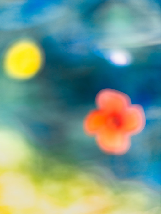 Photo : Etienne Francey