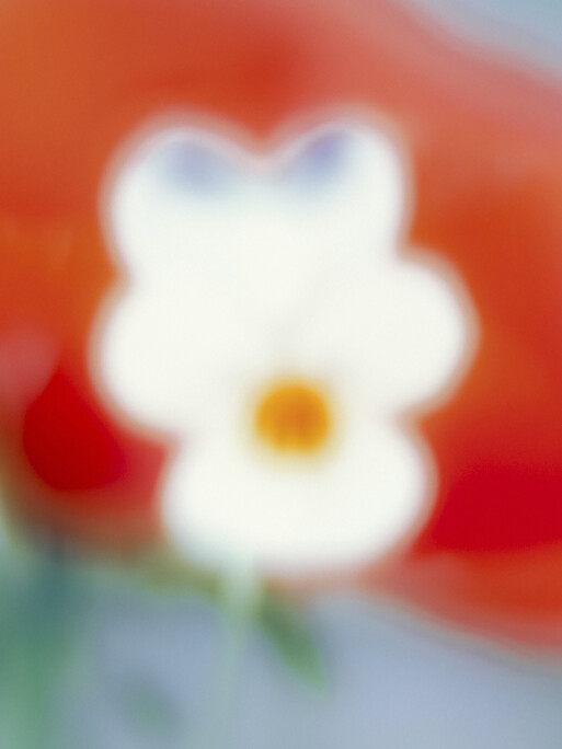 Photo : Etienne Francey