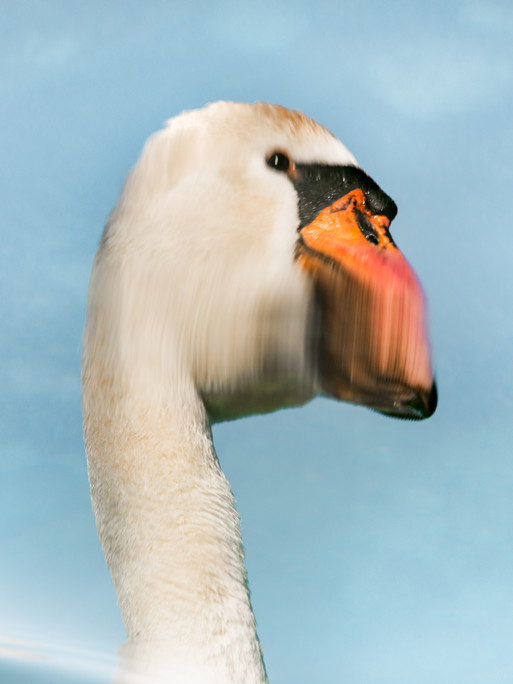 Photo : Etienne Francey