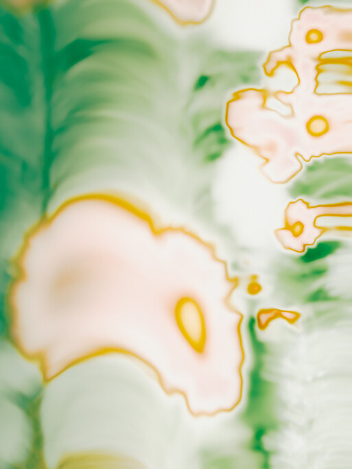 Photo : Etienne Francey