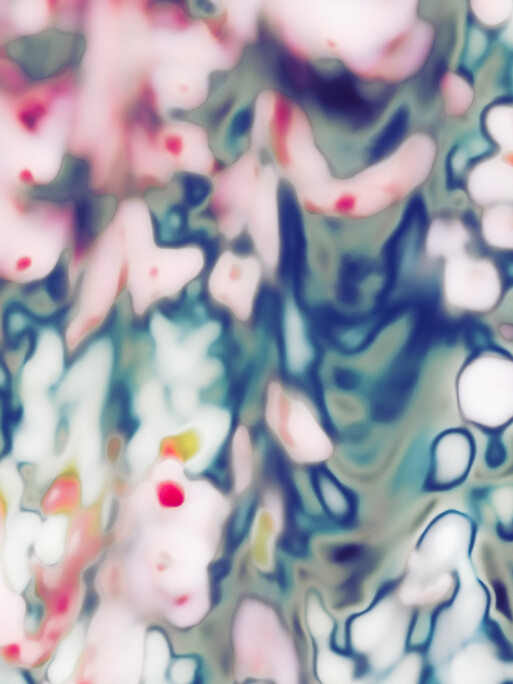 Photo : Etienne Francey