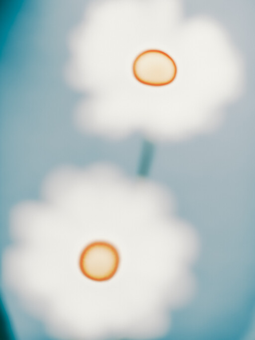 Photo : Etienne Francey