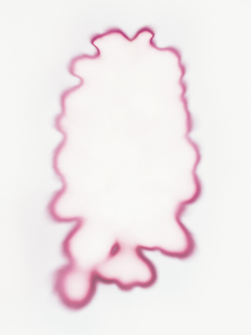 Photo : Etienne Francey