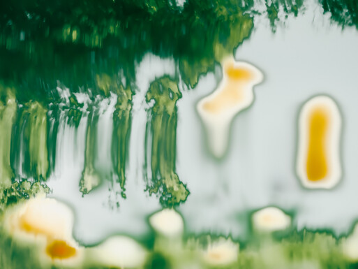 Photo : Etienne Francey