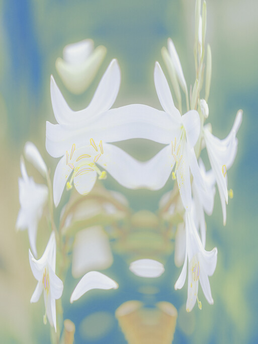 Photo : Etienne Francey