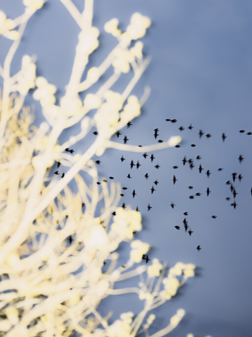 Photo : Etienne Francey