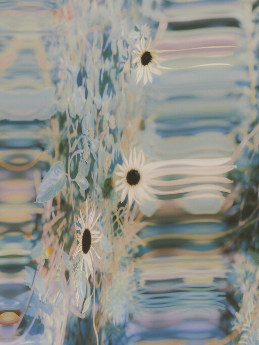 Photo : Etienne Francey