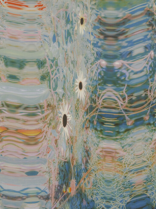 Photo : Etienne Francey