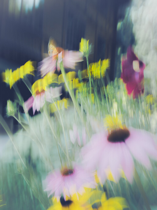 Photo : Etienne Francey