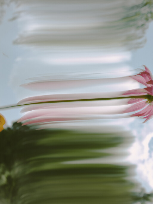 Photo : Etienne Francey