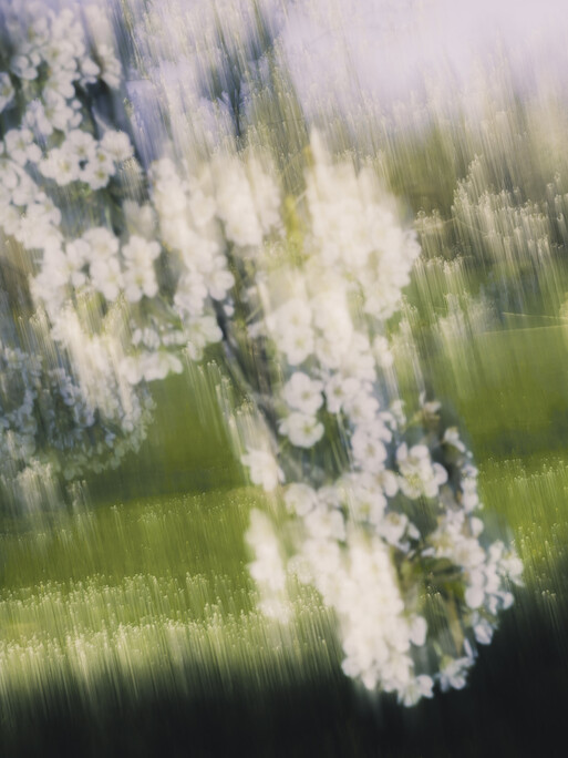 Photo : Etienne Francey