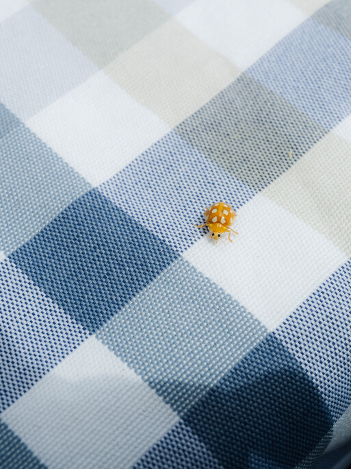 Photo : Etienne Francey