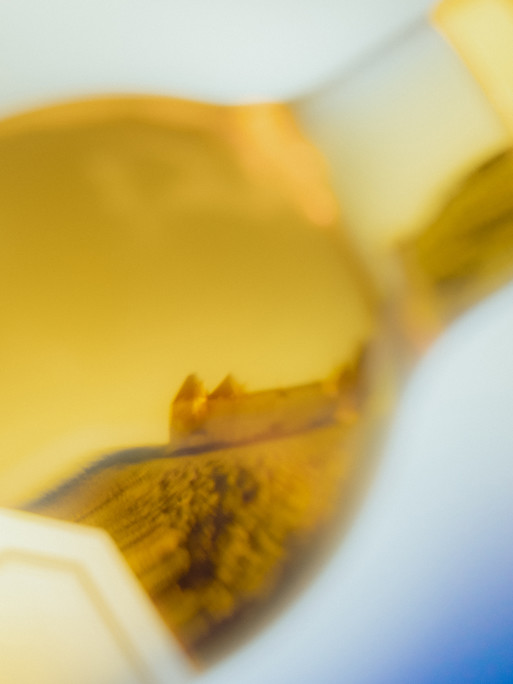 Photo : Etienne Francey