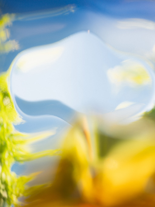 Photo : Etienne Francey