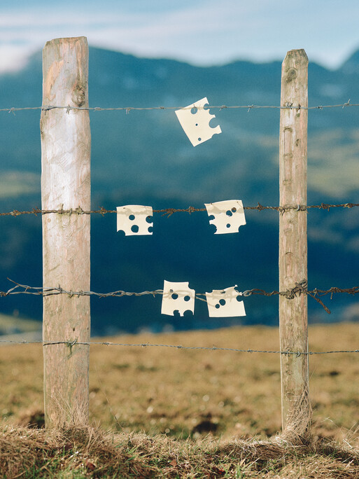 Photo : Etienne Francey