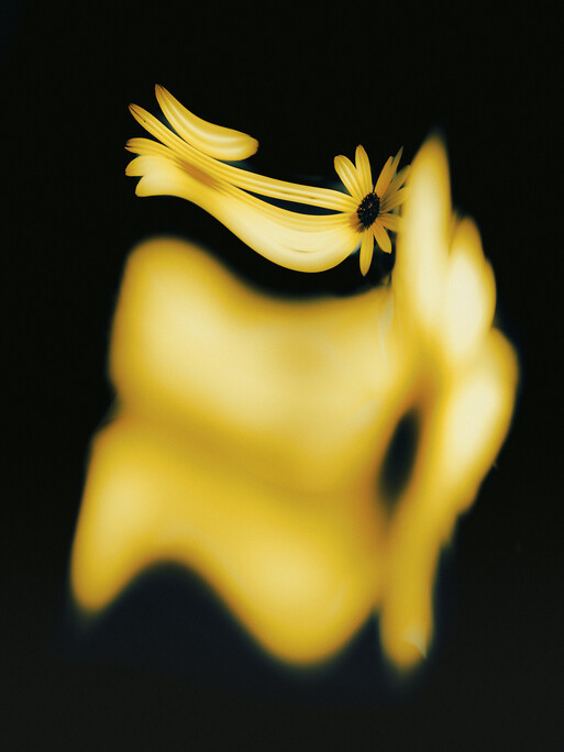 Photo : Etienne Francey