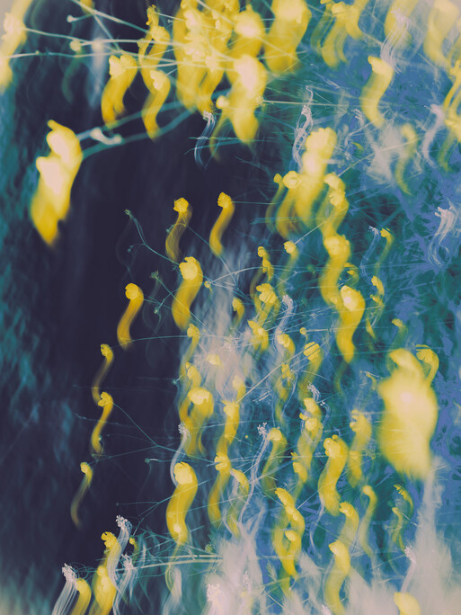 Photo : Etienne Francey