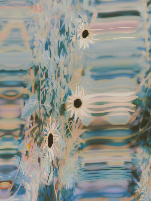 Photo : Etienne Francey