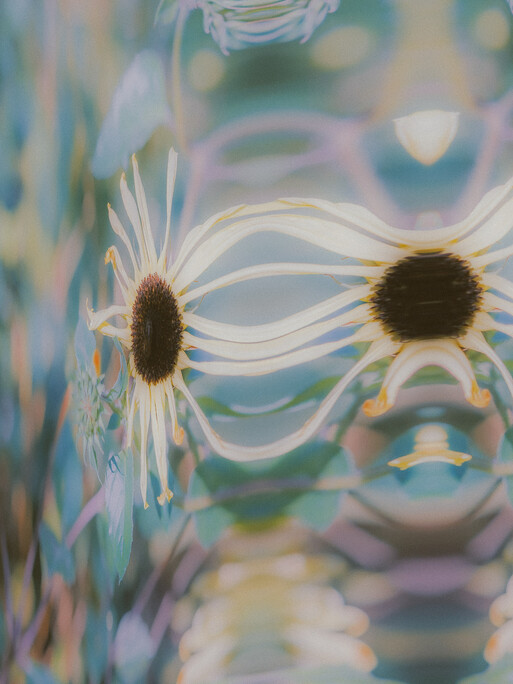 Photo : Etienne Francey