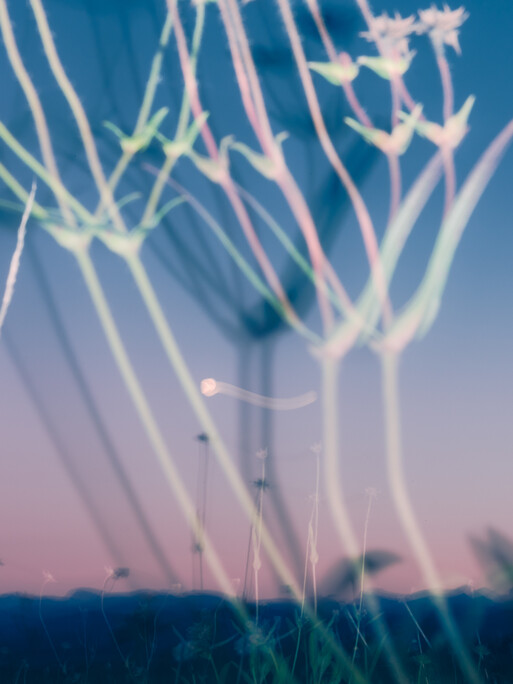 Photo : Etienne Francey