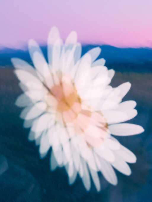 Photo : Etienne Francey