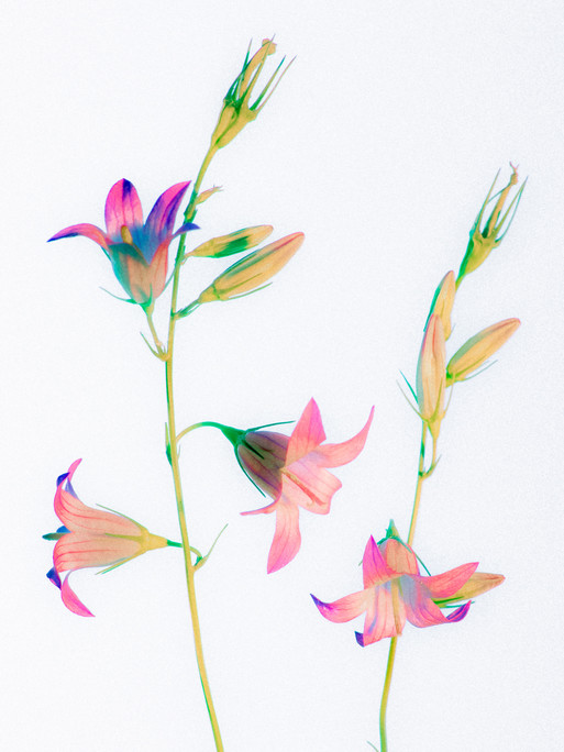 Photo : Etienne Francey